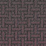 tampa bay buccaneers