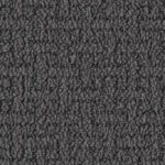 tampa bay buccaneers