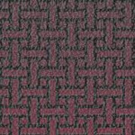 tampa bay buccaneers