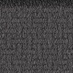 tampa bay buccaneers