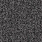 tampa bay buccaneers