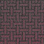 tampa bay buccaneers