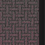 tampa bay buccaneers