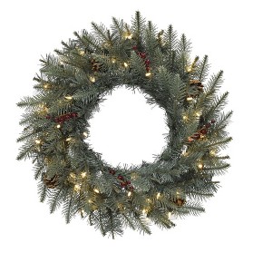 Perfect Holiday 24" Pre-lit Carolina Spruce Wreath with Pine Cones & Red Berry Clusters - 1 of 3