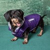 Doggie Design Weekender Dog Sweatshirt Hoodie - Purple - image 3 of 4