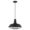 Livex Lighting Metal Shade 1 - Light Chandelier in  Black - 3 of 4