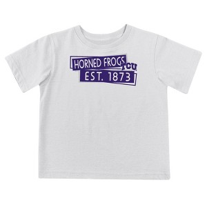 NCAA TCU Horned Frogs Toddler Boys' 2pk Short Sleeve and Long Sleeve T-Shirts - 1 of 4