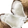 Dove Beauty Restoring Coconut & Cocoa Butter Body Wash - 34 fl oz - image 4 of 4