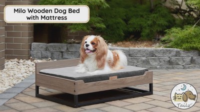 TailZzz Milo Wooden Pet Bed with Mattress Small Medium Dog Bed