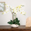 Nearly Natural 23-in Artificial Phalaenopsis Orchid Arrangement in White Ceramic Planter (Real Touch) - image 4 of 4