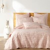 Bowie Blush Euro Sham Set of 2 - Levtex Home - 3 of 3