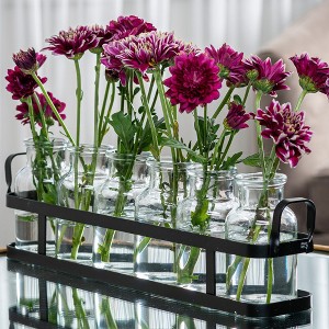 Le'raze 6pc Glass Flower Vase with Metal Holder - 1 of 4