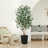 DR.Planzen 72" Faux Ficus Tree with Real Wood - UV Resistant 6FT Artificial Plant with Silk Leaves in 15.7" Planter for Indoor & Floor Decor - 2 of 4