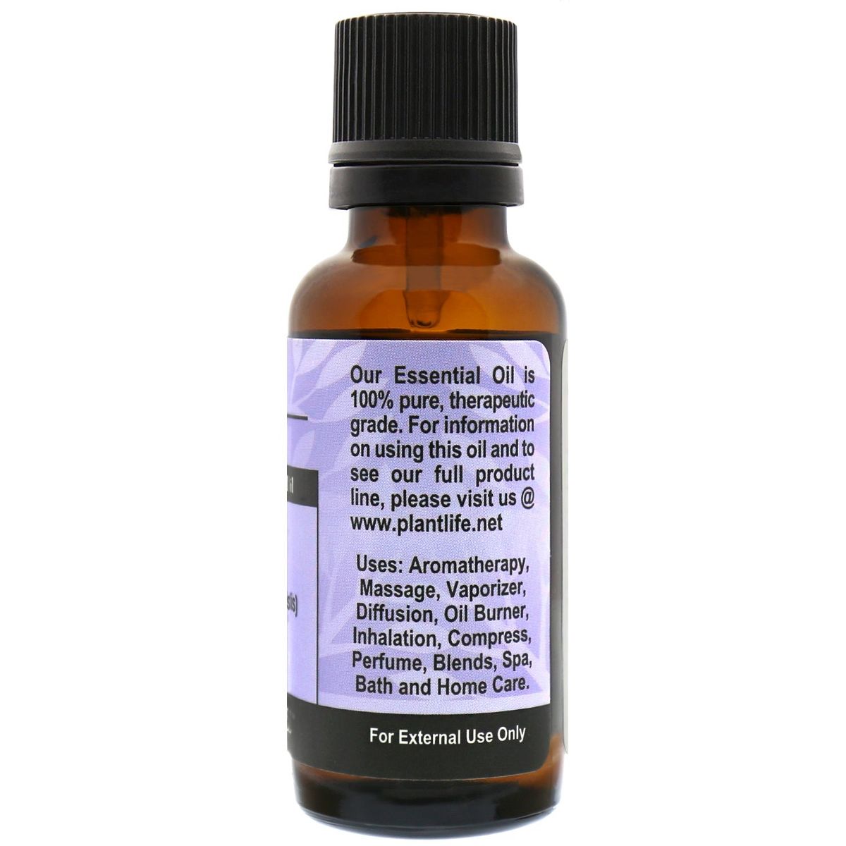 Plantlife Rosemary Essential Oil – 100% Pure & Therapeutic Grade – Natural, Undiluted & Steam-Distilled – No Additives or Fillers – Aromatherapy - thumbnail 3