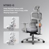 Newtral NT002 Ergonomic Office Chair with Footrest - 4D Armrest Recliner Chair-Gray - 2 of 4