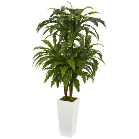 Moss : Fake Plants & Artificial Plants for Indoors : Target