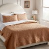 Garment Washed Paisley Stitch Quilt - Threshold™ - 2 of 3
