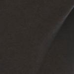 black floral embroidery