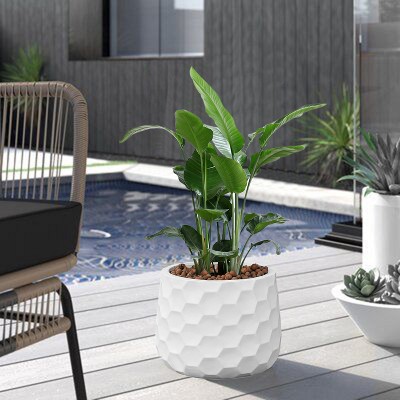 Matte White Geo-Design 12.2" MgO Round Planter for Indoor & Outdoor