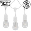 Novelty Lights 100 Feet Heavy Duty Light Strings and Sets with 50 Suspended E26 Sockets, White Wire PVC Stringer, 24" Spacing, Non-Connectable - 2 of 4