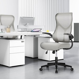 Adjustable Mesh Chair with Flip-Up Arms and Lumbar Support - 1 of 3