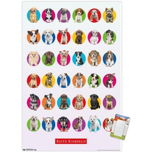 Trends International Keith Kimberlin - Puppy Grid Unframed Wall Poster Prints - 1 of 4
