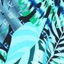 green palm