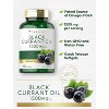 Carlyle Black Currant Oil 1500mg | 200 Softgels - 3 of 4