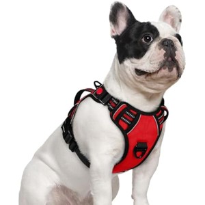 rabbitgoo Dog Harness Small Sized Dog, Easy Walking Harness with 2 Leash Clips, Red, S - 1 of 1