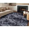 AMERLIFE Area Rug with Shaggy High Pile, Soft Carpet for Living Room and Bedroom - 2 of 4