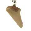 Cody Foster 4.25 In Pizza Slice Pepperoni Crust Italian Tree Ornaments - 2 of 3