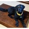 Big Barker 7" Orthopedic Dog Bed - Sleek Edition - 3 of 4