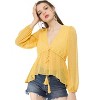 Allegra K Women's Deep V Neck Chiffon Swiss Dots Ruffle Hem Long Sleeve Peplum Shirt - 3 of 4