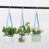 Unique Bargains Kitchen Bathroom Plastic S-Shaped Closet Holder Pots Coats Towels Hanging Hooks Hanger 24 Pcs - 4 of 4
