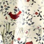 classic red cardinals