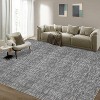 Acekool Washable Rug, Modern Abstract Non Slip Low Pile Soft Indoor Carpet for Living Room Bedroom Playroom, Stain Resistant - 3 of 4