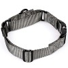Country Brook Petz Heavyduty Nylon Martingale with Premium Buckle - 3 of 4