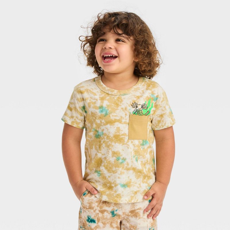 Toddler Boys' Short Sleeve Boxy T-Shirt - Cat & Jack™, 1 of 5