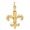 Black Bow Jewelry 14k White or Yellow Gold Solid 3D Fleur De Lis Pendant, 17mm (5/8 in) - 3 of 4