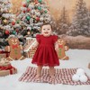 2Bunnies Lace Pom Pom Trim Baby Girl Dress - 2 of 3