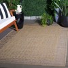 Sisal Performance SPF102 Power Loomed UV Resistant,Stain Resistant, Non-Shedding Indoor/Outdoor Rugs - Safavieh - 2 of 4