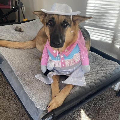 Guest review image 4 of 4, zoom in