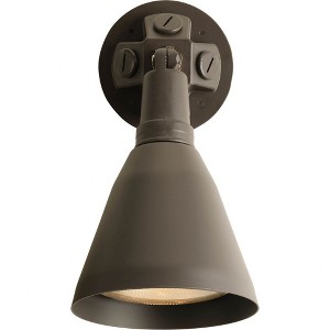 Progress Lighting Par 1-Light Outdoor Wall Light in Antique Bronze, Porcelain, Shade Included - 1 of 2
