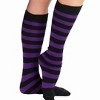 Striped Patterned Knee High Socks from the Sock Panda (Women's Sizes, Adult Medium) - 3 of 4