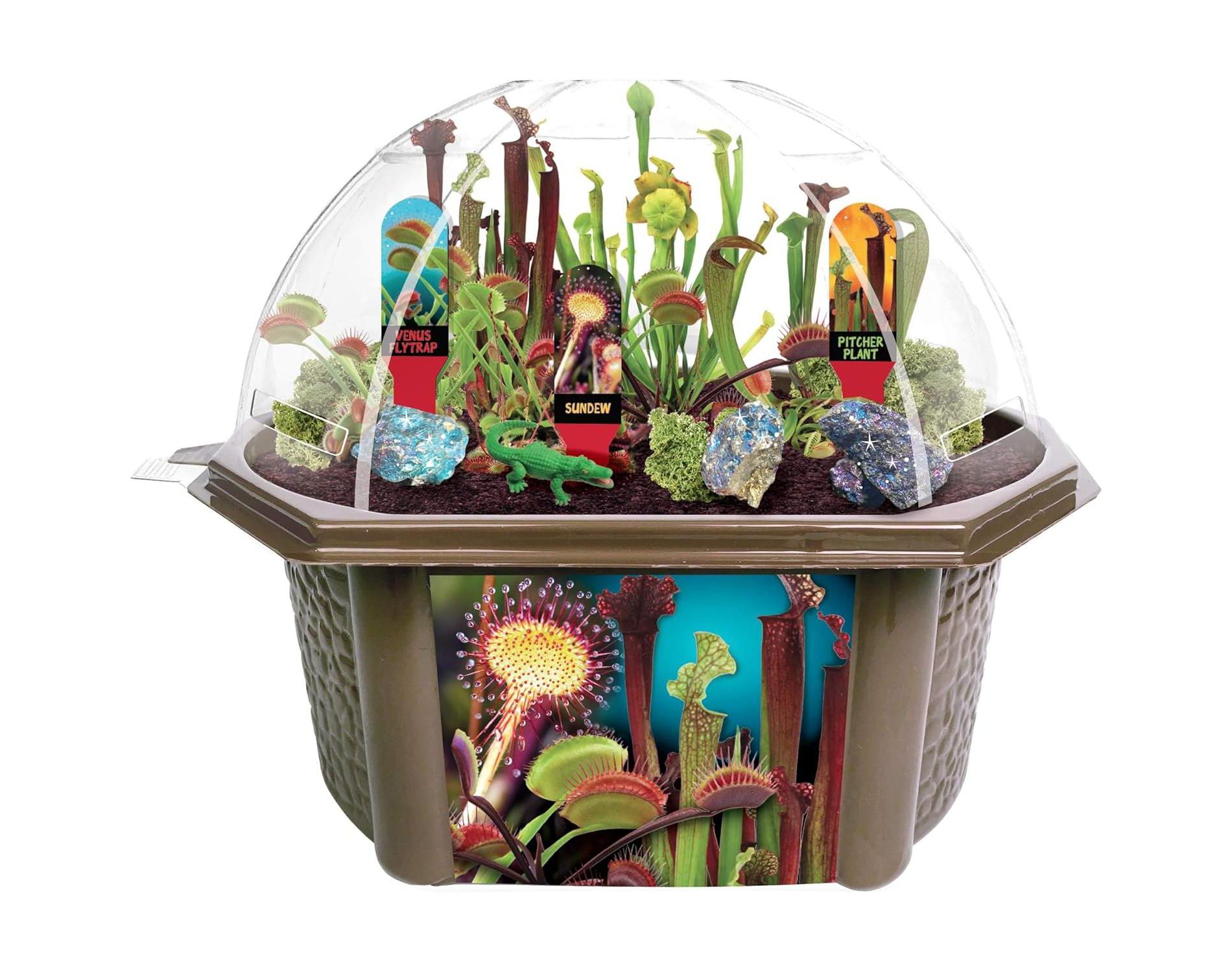 Toys By Nature: Carnivorous Creatures - DIY Biosphere Terrarium Starter Kit, Grow Meat-Eating Plants, Create Your Own Carnivorous Bog, Adults-Kids 4+