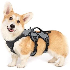 rabbitgoo Escape Proof Dog Harness, Soft Padded Full Body Pet Harness, Reflective  Dogs Walking Hiking Training, S, Grey - 1 of 1