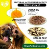 Beloved Pets Dog Anti Itch Allergy Support Chews with Probiotic and Omega 3 Skin Coat Health Immune Supplement 10 Oz - 1 Pack - 3 of 4