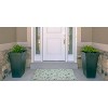 HomeStock Outdoor Washable Deltona Green & Ivory 2' X 3', Machine Woven with Printed Designs, Coastal - 2 of 4