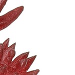 dark red