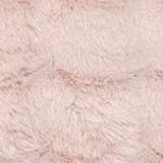 jeni blush